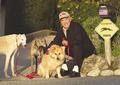 RTA's Managing Director, Harvey Brodsky with his dogs in Pacific Grove, California