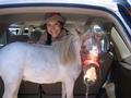 Whenever Lucy, Rona and Harvey's little wonder horse, hits the road, she rides in a vehicle fitted with retreads at all four corners.